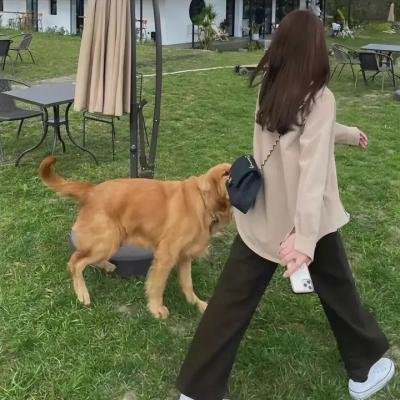 博尼法斯修女探案集第三季